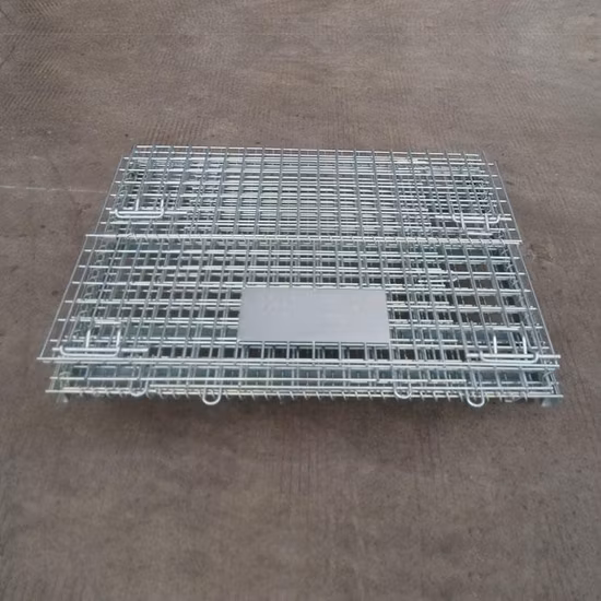 Wholesale Full Container Complete 3